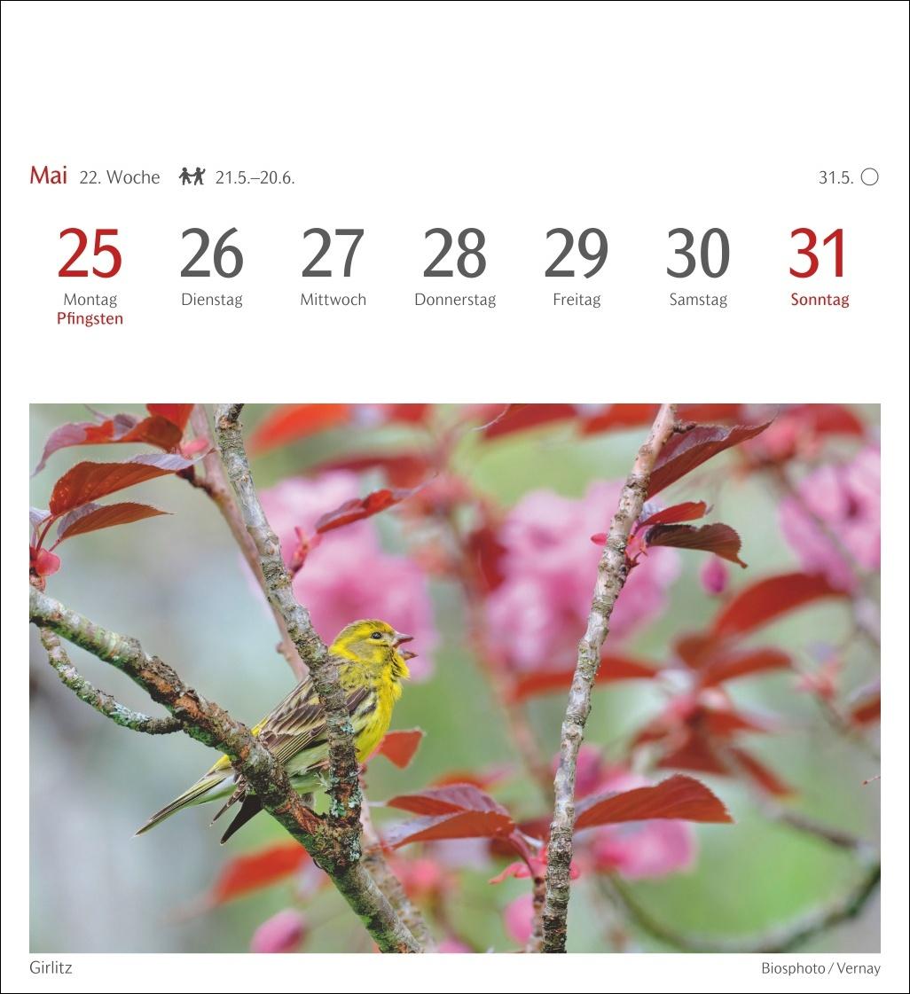 Beispielinhalt (Bild) Heimische Vögel Postkartenkalender 2026 - Wochenkalender mit 53 Postkarten