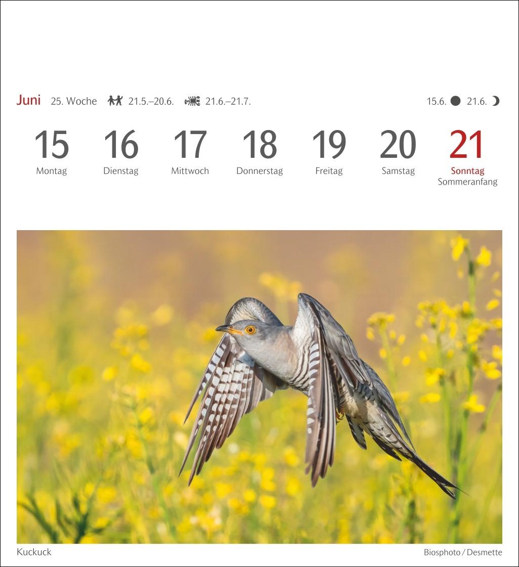 Beispielinhalt (Bild) Heimische Vögel Postkartenkalender 2026 - Wochenkalender mit 53 Postkarten