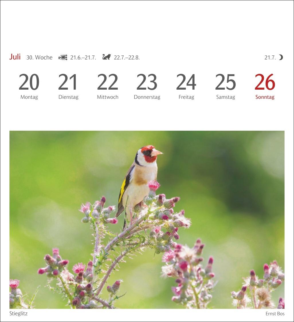 Beispielinhalt (Bild) Heimische Vögel Postkartenkalender 2026 - Wochenkalender mit 53 Postkarten