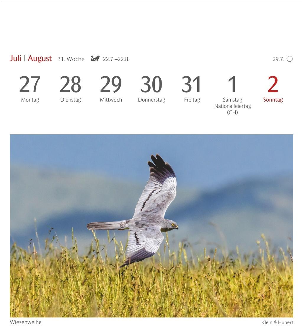 Beispielinhalt (Bild) Heimische Vögel Postkartenkalender 2026 - Wochenkalender mit 53 Postkarten