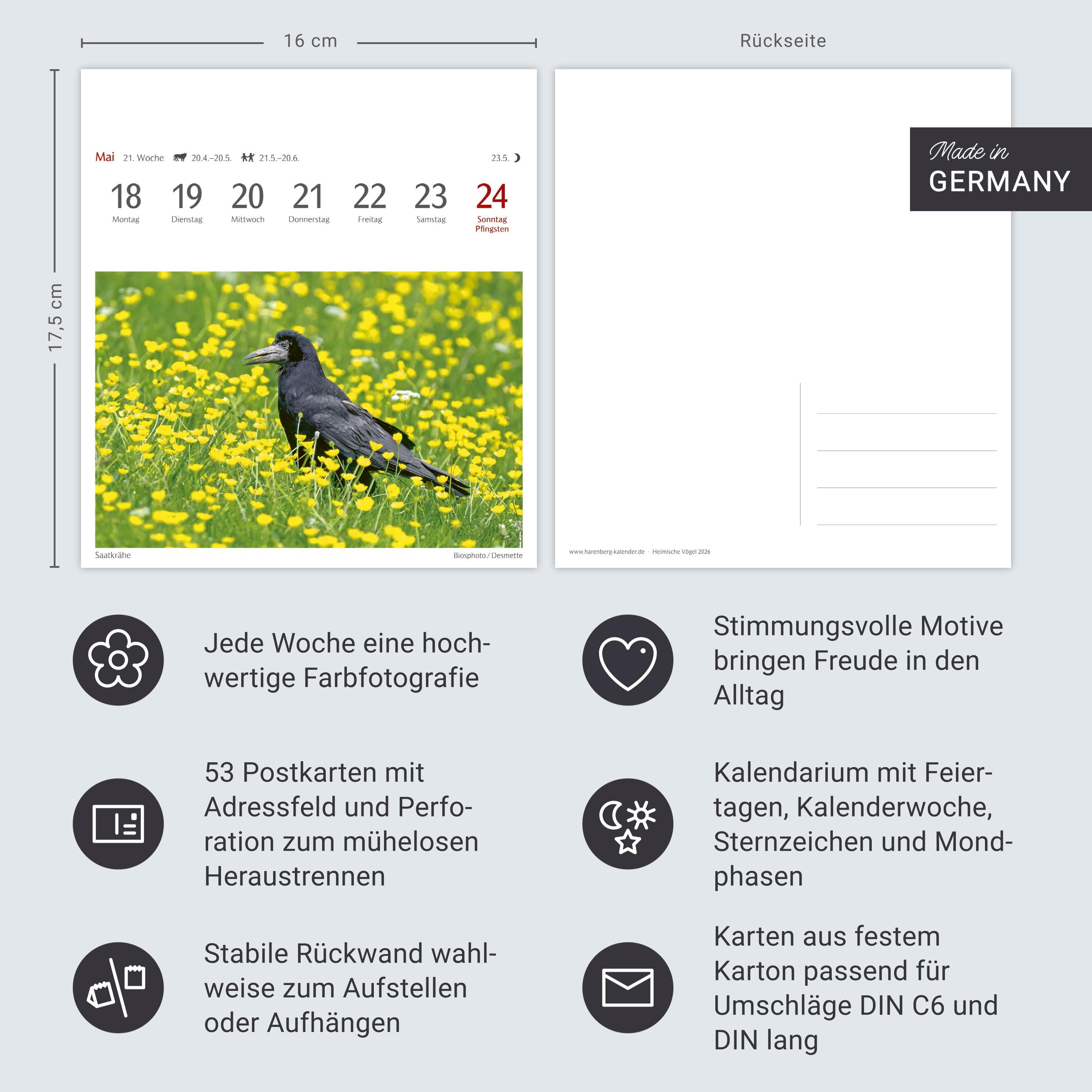 Beispielinhalt (Bild) Heimische Vögel Postkartenkalender 2026 - Wochenkalender mit 53 Postkarten