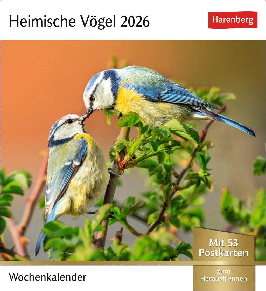 Vorderes Coverbild Heimische Vögel Postkartenkalender 2026 - Wochenkalender mit 53 Postkarten