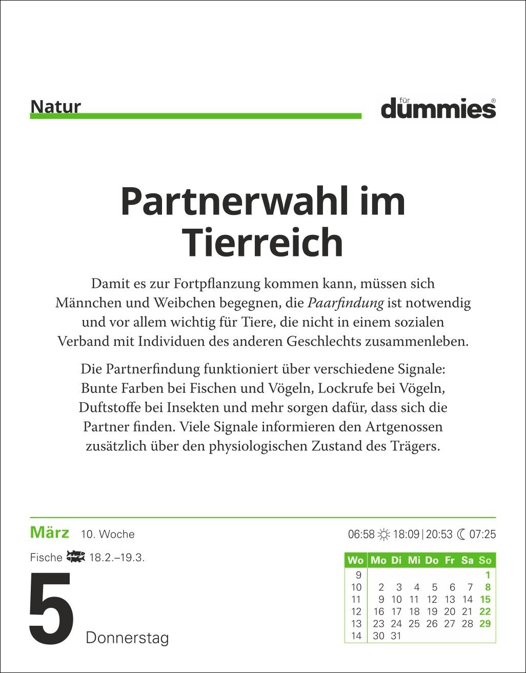 Beispielinhalt (Bild) Die Welt erklärt für Dummies Tagesabreißkalender 2026