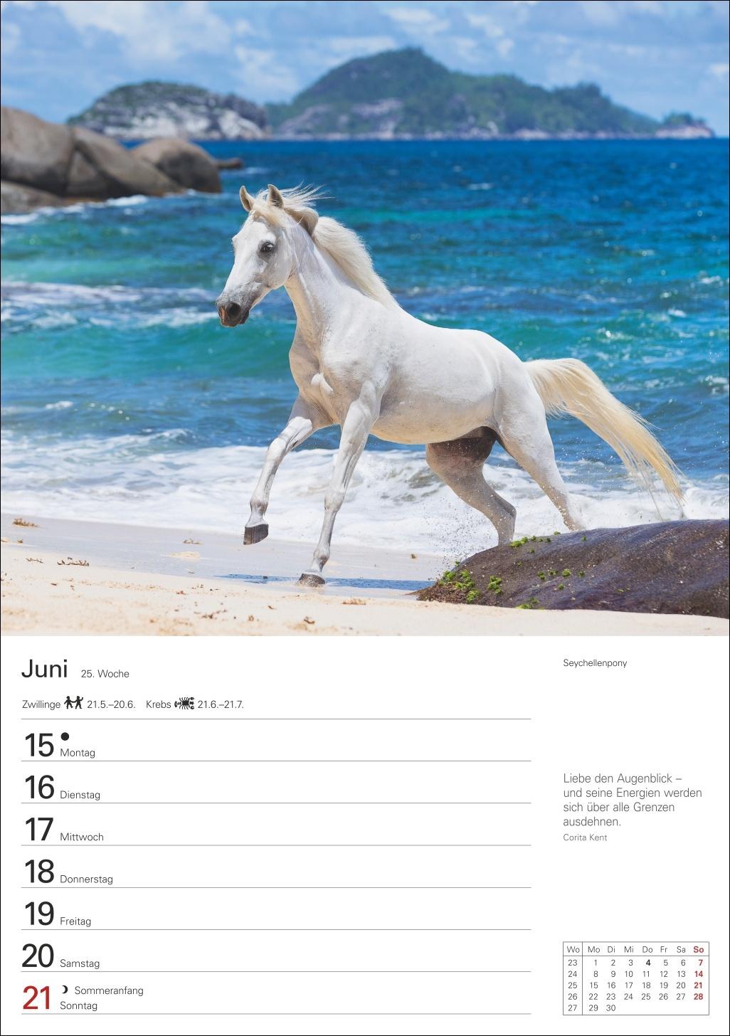 Beispielinhalt (Bild) Pferde Wochenplaner 2026 - 53 faszinierende Fotografien