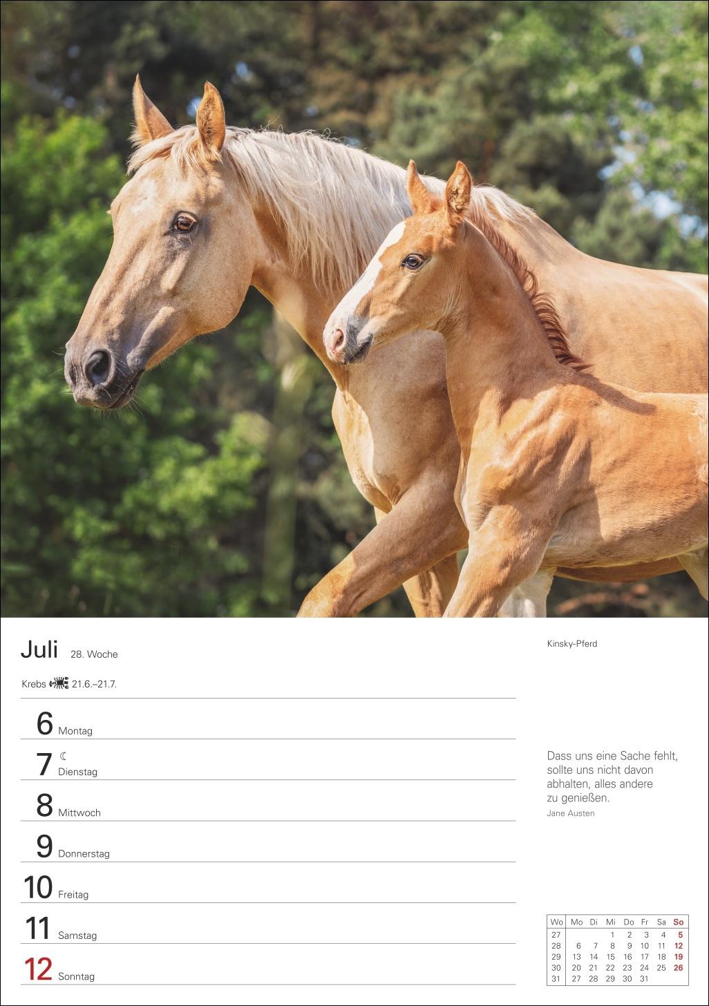 Beispielinhalt (Bild) Pferde Wochenplaner 2026 - 53 faszinierende Fotografien