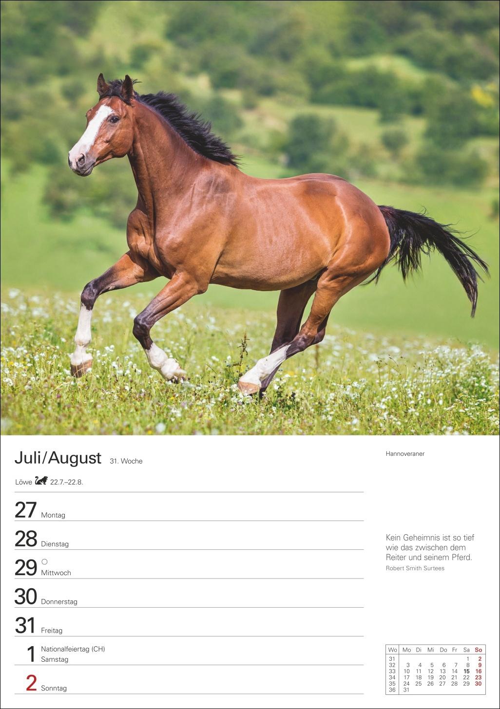 Beispielinhalt (Bild) Pferde Wochenplaner 2026 - 53 faszinierende Fotografien