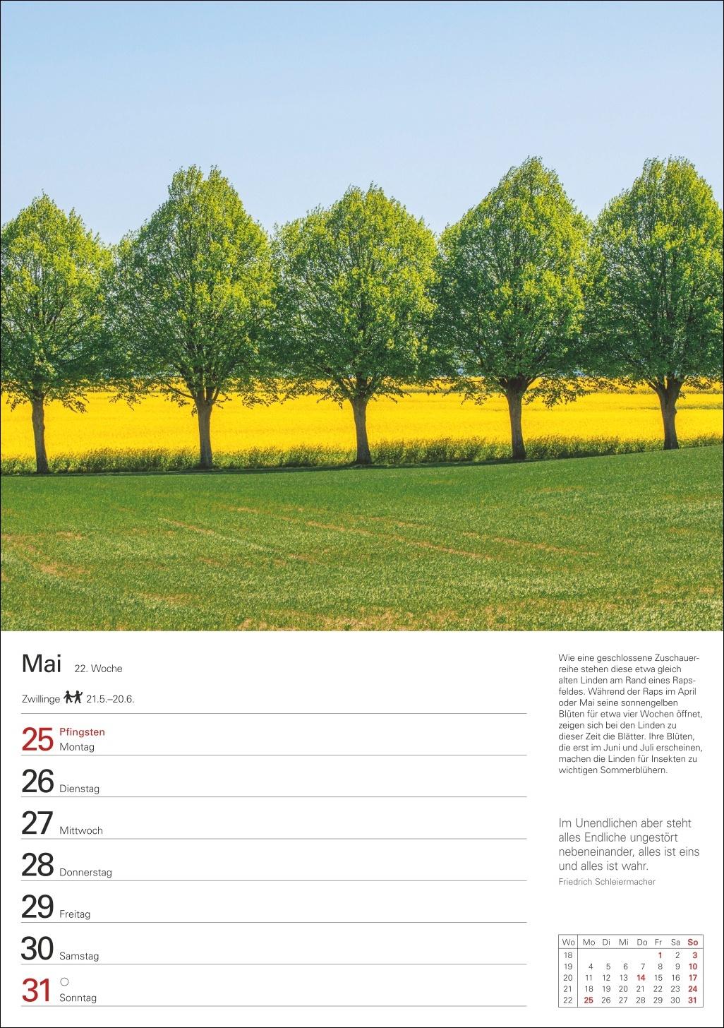 Beispielinhalt (Bild) Bäume Wochenplaner 2026 - 53 stimmungsvolle Fotografien