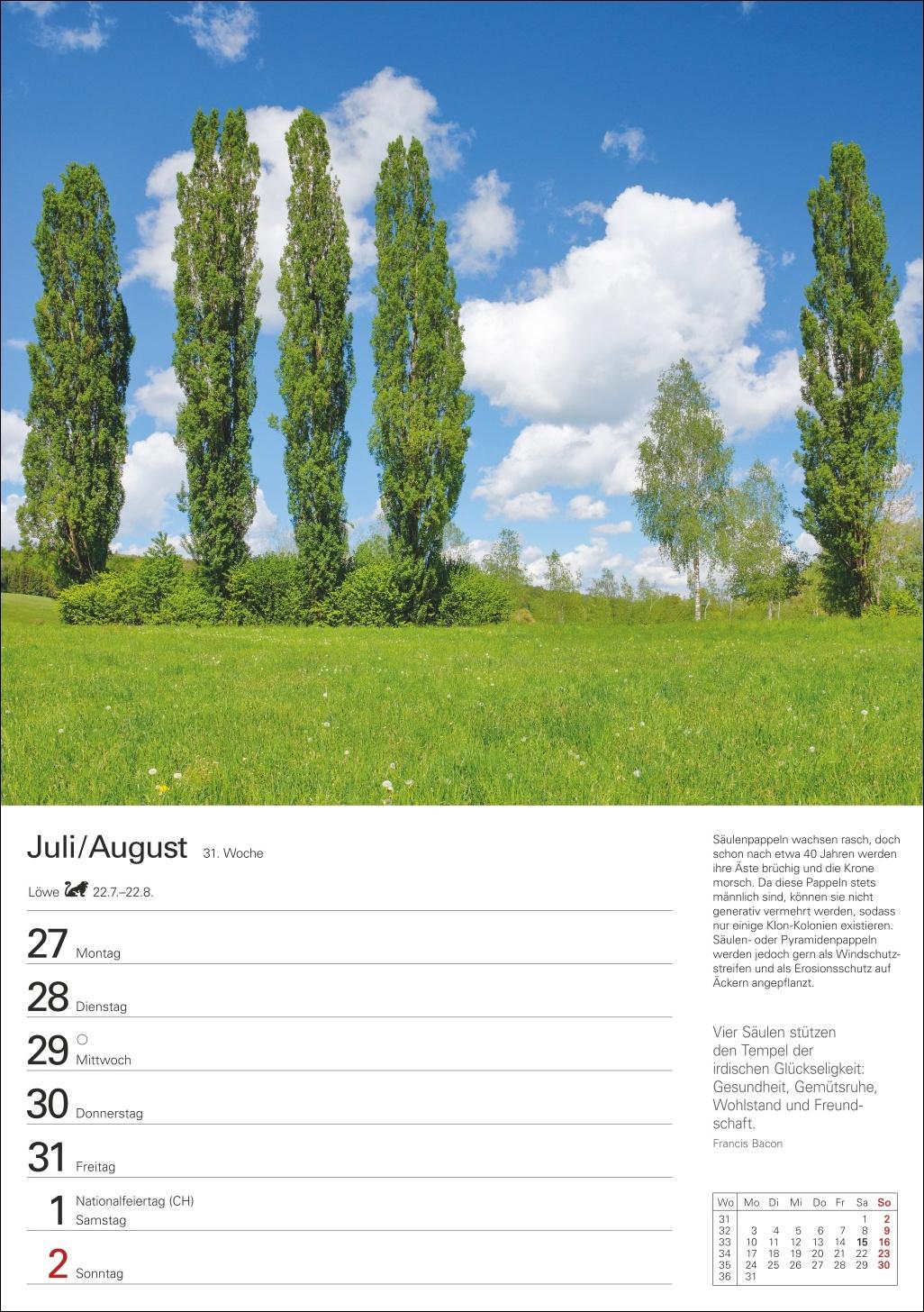 Beispielinhalt (Bild) Bäume Wochenplaner 2026 - 53 stimmungsvolle Fotografien