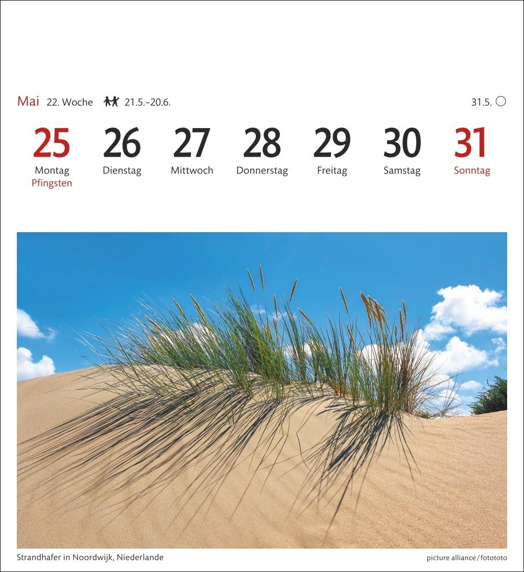 Beispielinhalt (Bild) Nordseeküste Sehnsuchtskalender 2026 - Wochenkalender mit 53 Postkarten