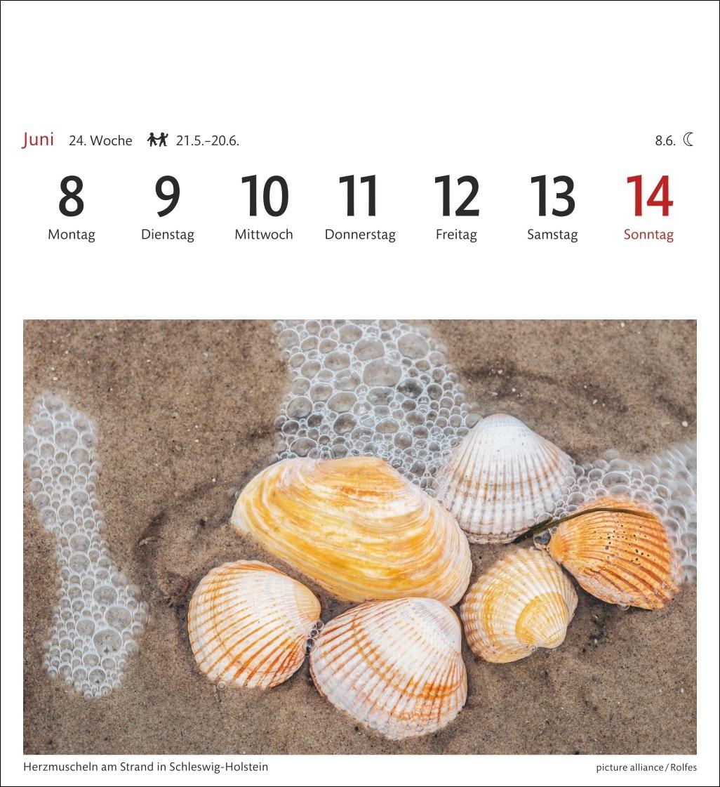 Beispielinhalt (Bild) Nordseeküste Sehnsuchtskalender 2026 - Wochenkalender mit 53 Postkarten