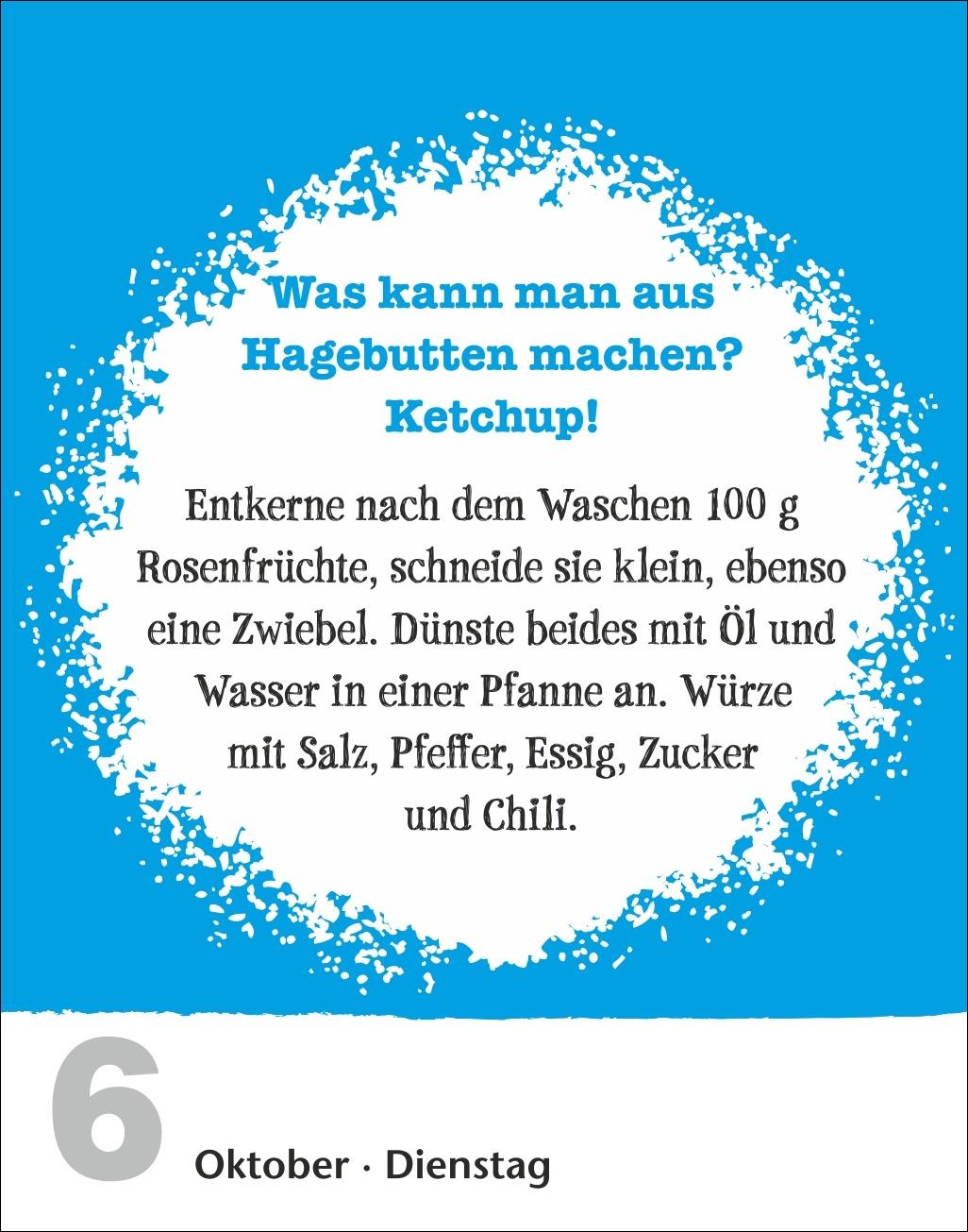 Beispielinhalt (Bild) Lifehacks Tagesabreißkalender 2026 - Der hilfreichste Kalender aller Zeiten