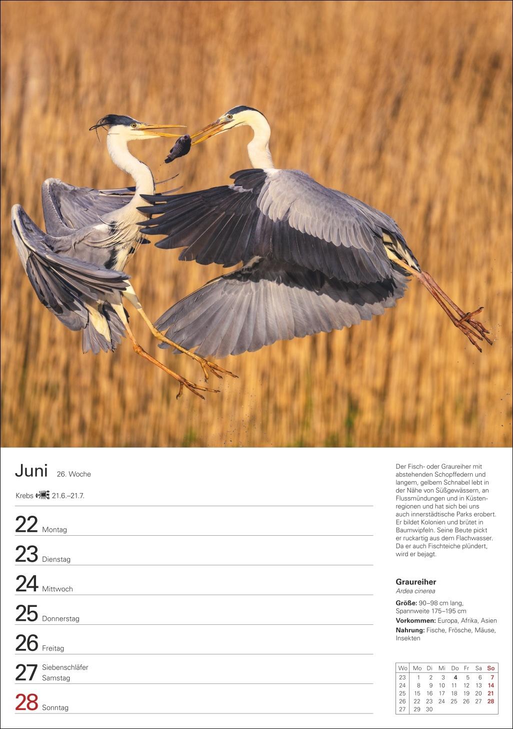 Beispielinhalt (Bild) Heimische Tiere Wochenplaner 2026 - 53 faszinierende Fotografien