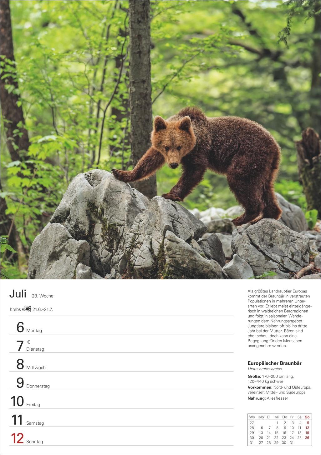 Beispielinhalt (Bild) Heimische Tiere Wochenplaner 2026 - 53 faszinierende Fotografien