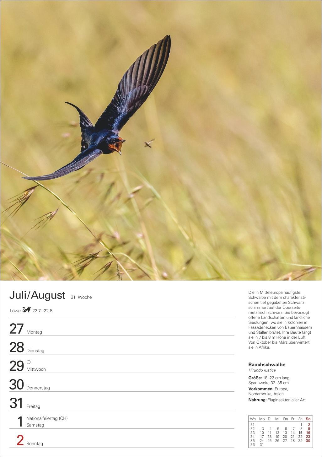Beispielinhalt (Bild) Heimische Tiere Wochenplaner 2026 - 53 faszinierende Fotografien