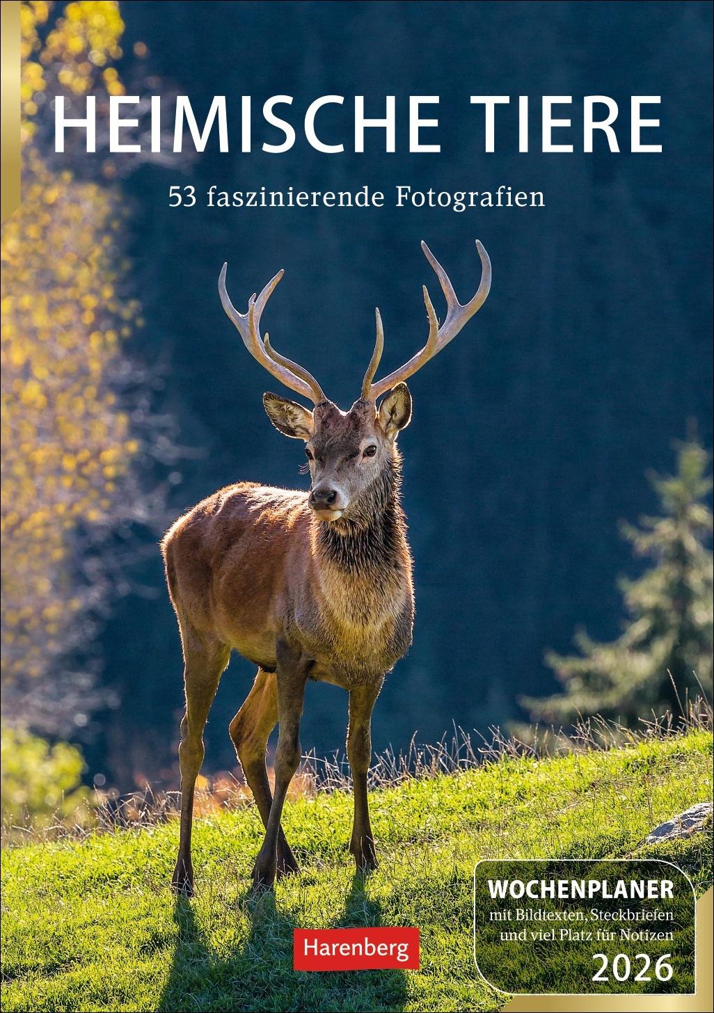 Vorderes Coverbild Heimische Tiere Wochenplaner 2026 - 53 faszinierende Fotografien