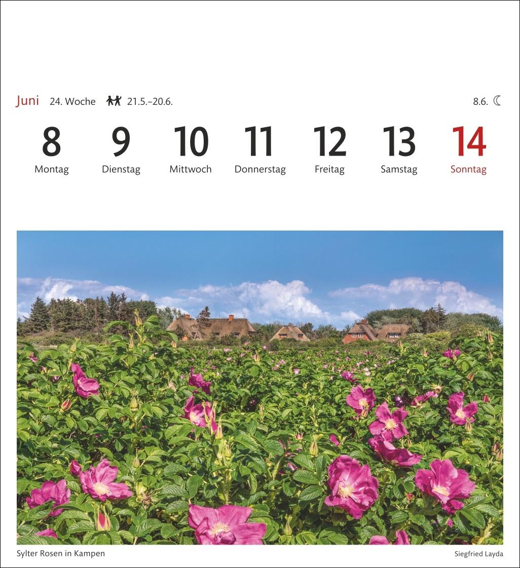 Beispielinhalt (Bild) Sylt Sehnsuchtskalender 2026 - Wochenkalender mit 53 Postkarten