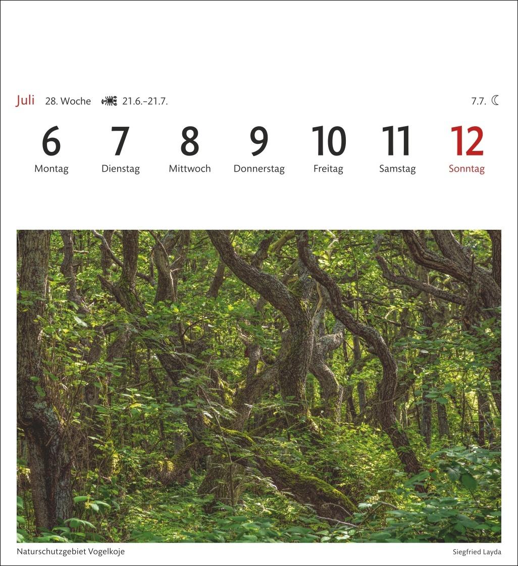 Beispielinhalt (Bild) Sylt Sehnsuchtskalender 2026 - Wochenkalender mit 53 Postkarten