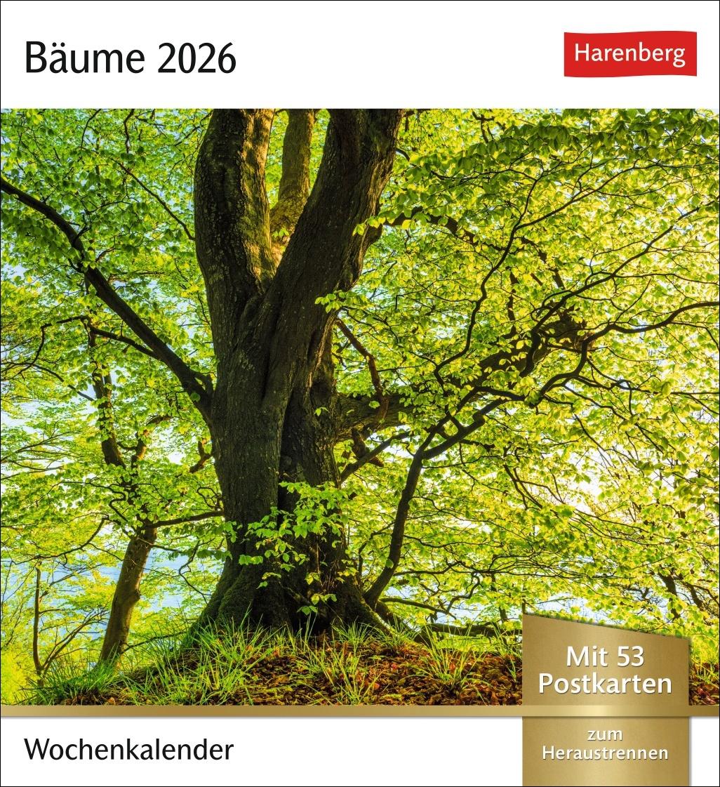 Vorderes Coverbild Bäume Postkartenkalender 2026 - Wochenkalender mit 53 Postkarten