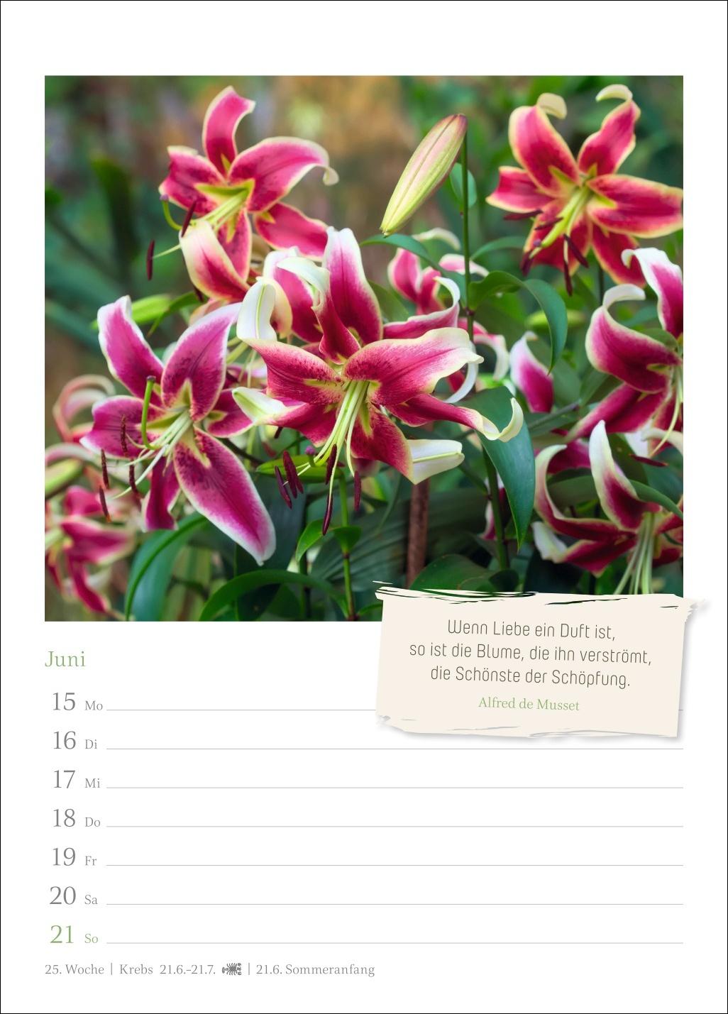 Beispielinhalt (Bild) Zauberhafte Gärten Wochenkalender 2026 - mit Zitaten