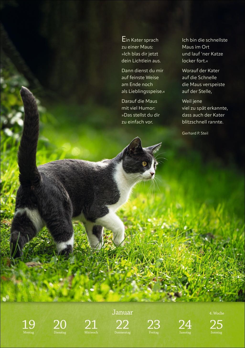 Beispielinhalt (Bild) Literaturkalender Katzen Wochen-Kulturkalender 2026