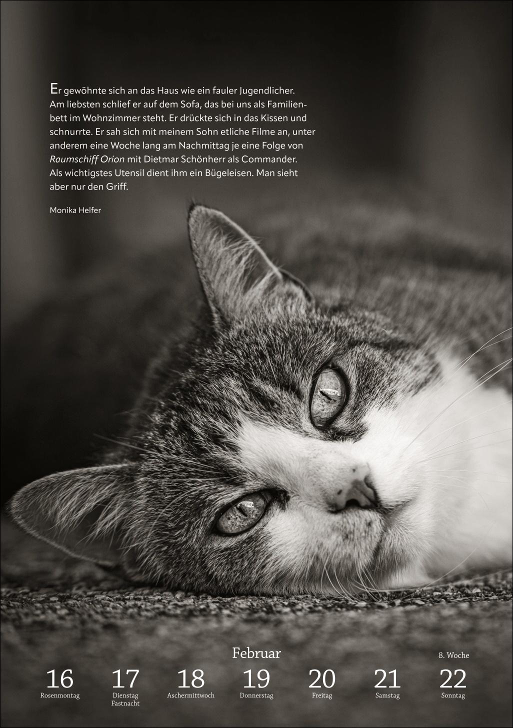 Beispielinhalt (Bild) Literaturkalender Katzen Wochen-Kulturkalender 2026