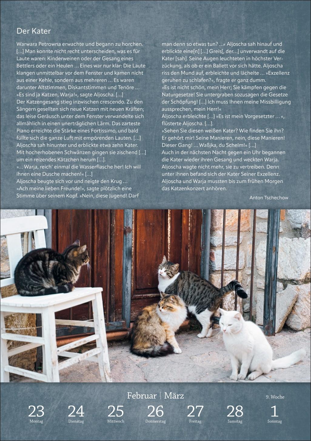Beispielinhalt (Bild) Literaturkalender Katzen Wochen-Kulturkalender 2026