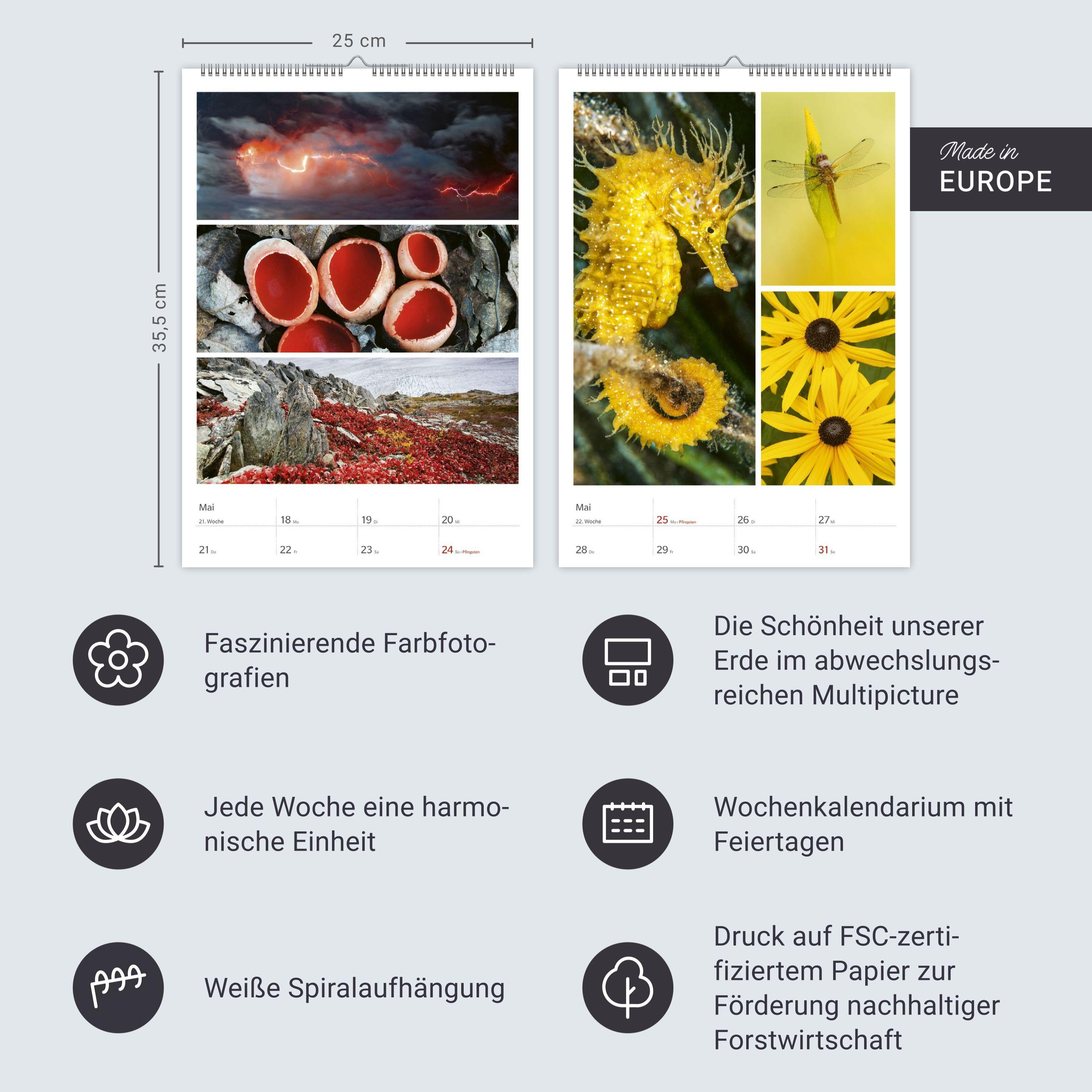 Beispielinhalt (Bild) Magie der Farben Wochenplaner 2026