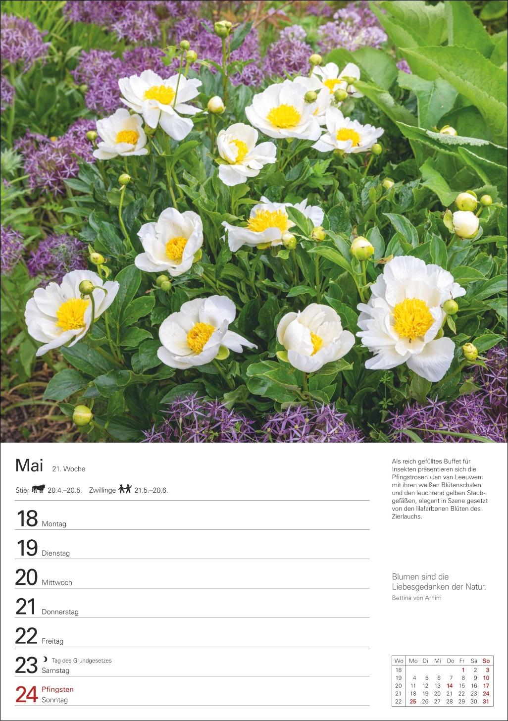 Beispielinhalt (Bild) Gartenparadiese Wochenplaner 2026 - 53 stimmungsvolle Fotografien