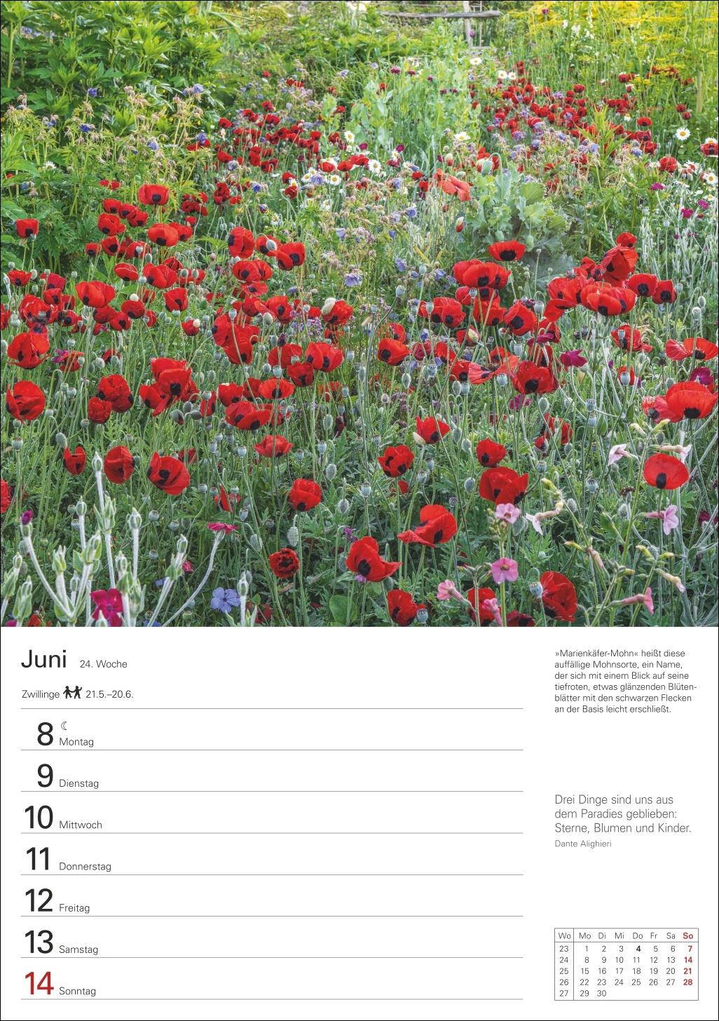 Beispielinhalt (Bild) Gartenparadiese Wochenplaner 2026 - 53 stimmungsvolle Fotografien