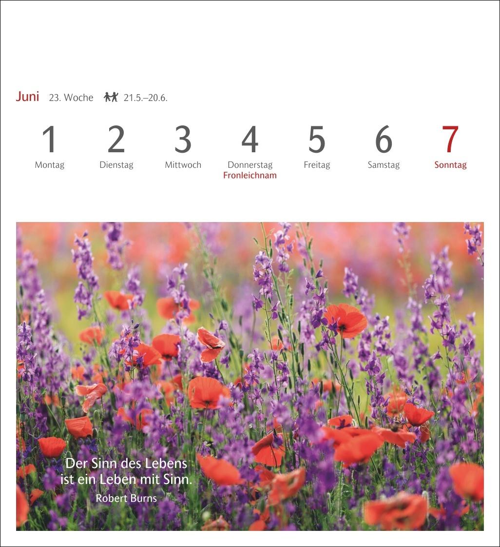 Beispielinhalt (Bild) Momente des Glücks Postkartenkalender 2026 - Wochenkalender mit Zitaten, mit 53 Postkarten