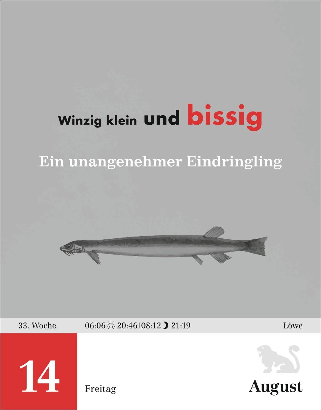 Beispielinhalt (Bild) Einstein für Quanten-Dilettanten Tagesabreißkalender 2026 - Ein vergnüglicher Crashkurs in Sachen Naturwissenschaften
