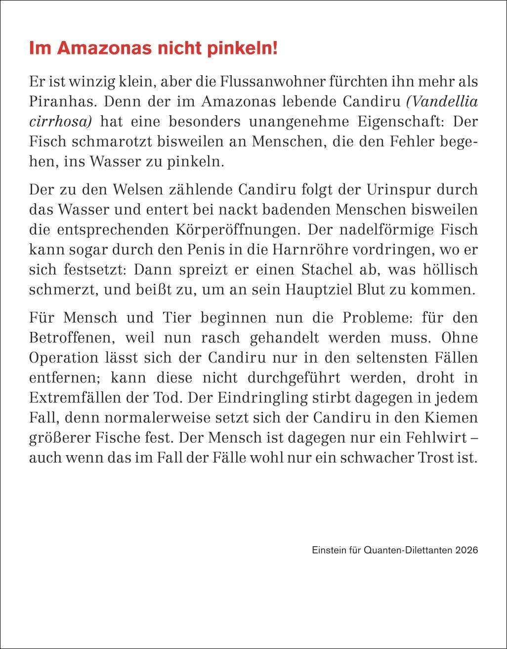 Beispielinhalt (Bild) Einstein für Quanten-Dilettanten Tagesabreißkalender 2026 - Ein vergnüglicher Crashkurs in Sachen Naturwissenschaften