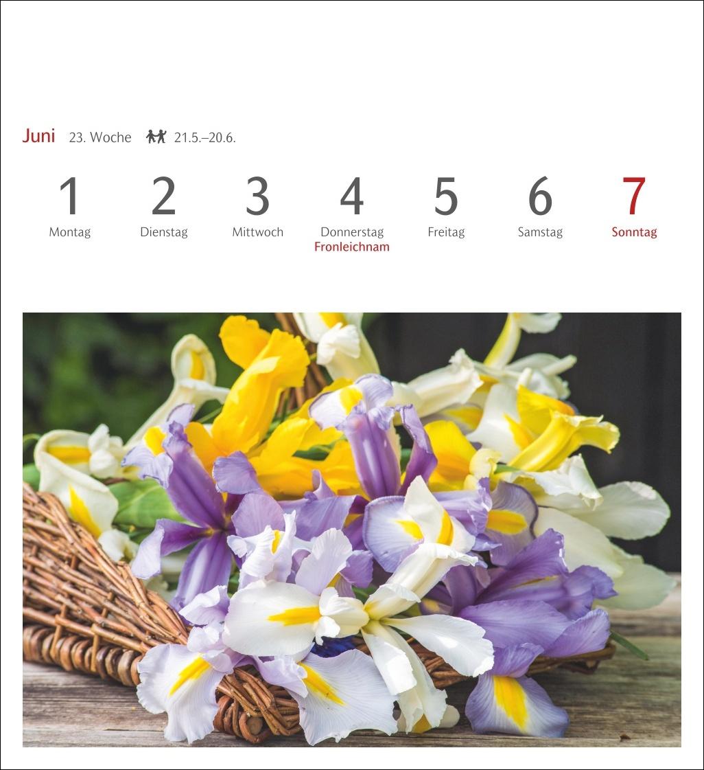 Beispielinhalt (Bild) Blumenpracht Postkartenkalender 2026 - Wochenkalender mit 53 Postkarten