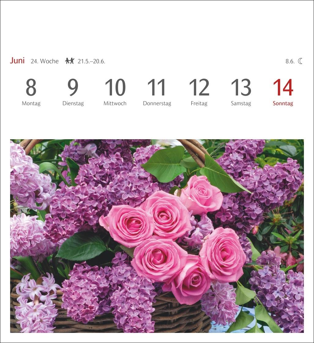 Beispielinhalt (Bild) Blumenpracht Postkartenkalender 2026 - Wochenkalender mit 53 Postkarten