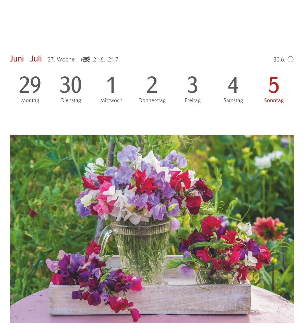 Beispielinhalt (Bild) Blumenpracht Postkartenkalender 2026 - Wochenkalender mit 53 Postkarten