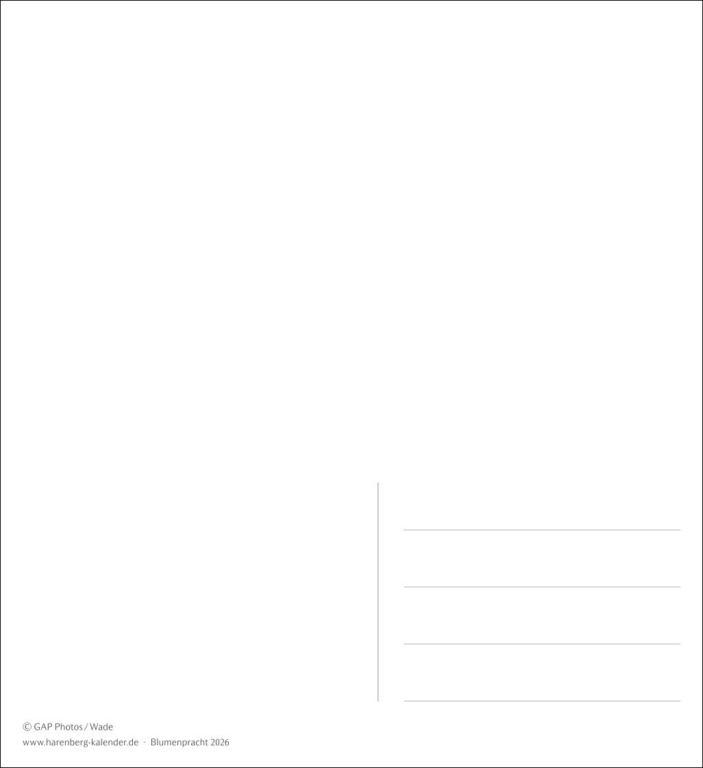Beispielinhalt (Bild) Blumenpracht Postkartenkalender 2026 - Wochenkalender mit 53 Postkarten