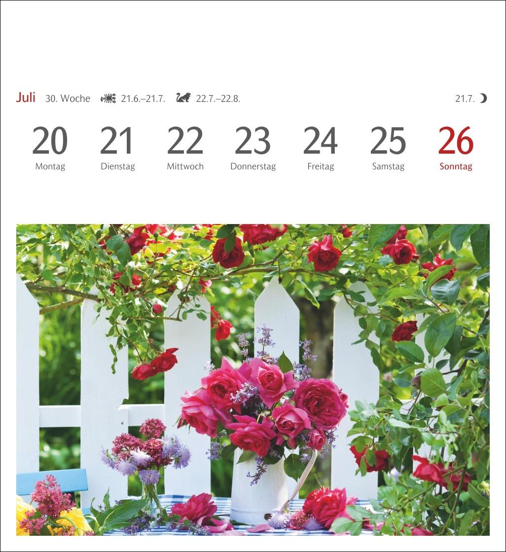 Beispielinhalt (Bild) Blumenpracht Postkartenkalender 2026 - Wochenkalender mit 53 Postkarten