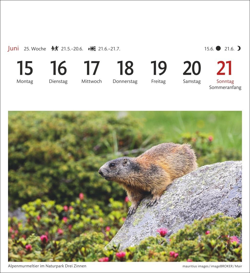 Beispielinhalt (Bild) Südtirol Sehnsuchtskalender 2026 - Wochenkalender mit 53 Postkarten