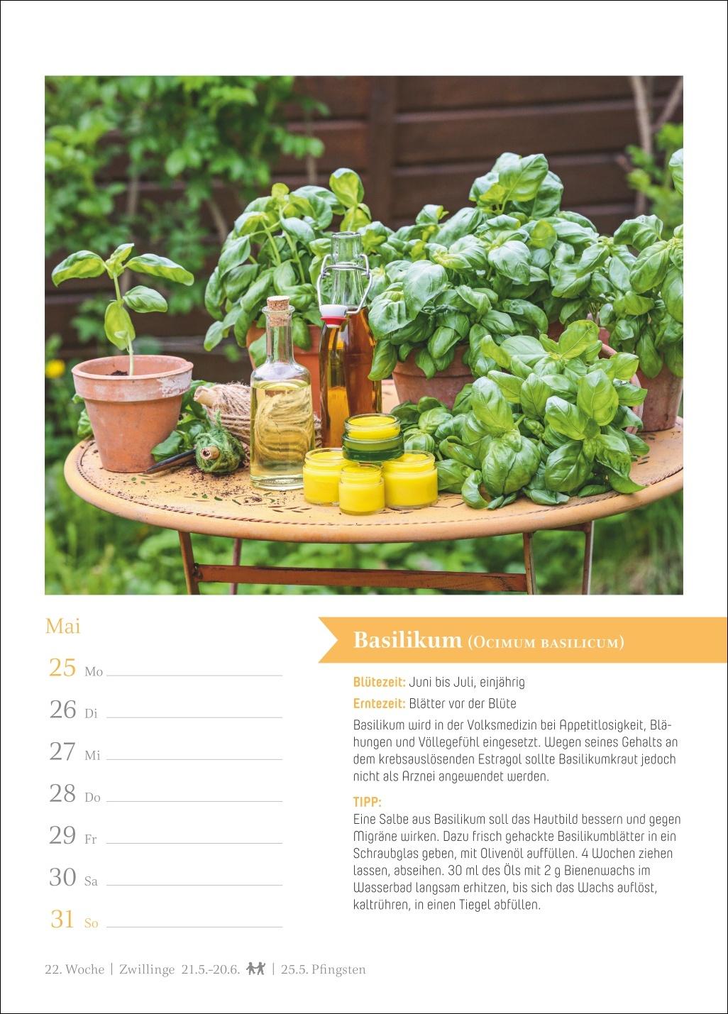 Beispielinhalt (Bild) Heilkräuter Wochenkalender 2026 - 53 Pflanzen für die Hausapotheke