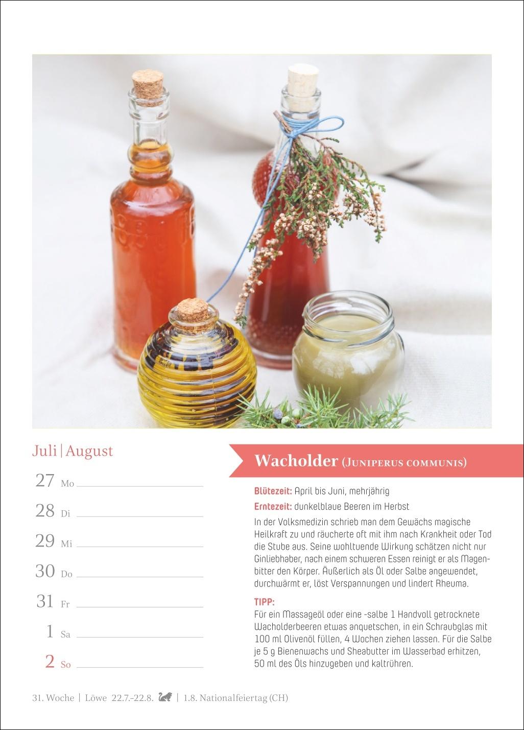 Beispielinhalt (Bild) Heilkräuter Wochenkalender 2026 - 53 Pflanzen für die Hausapotheke