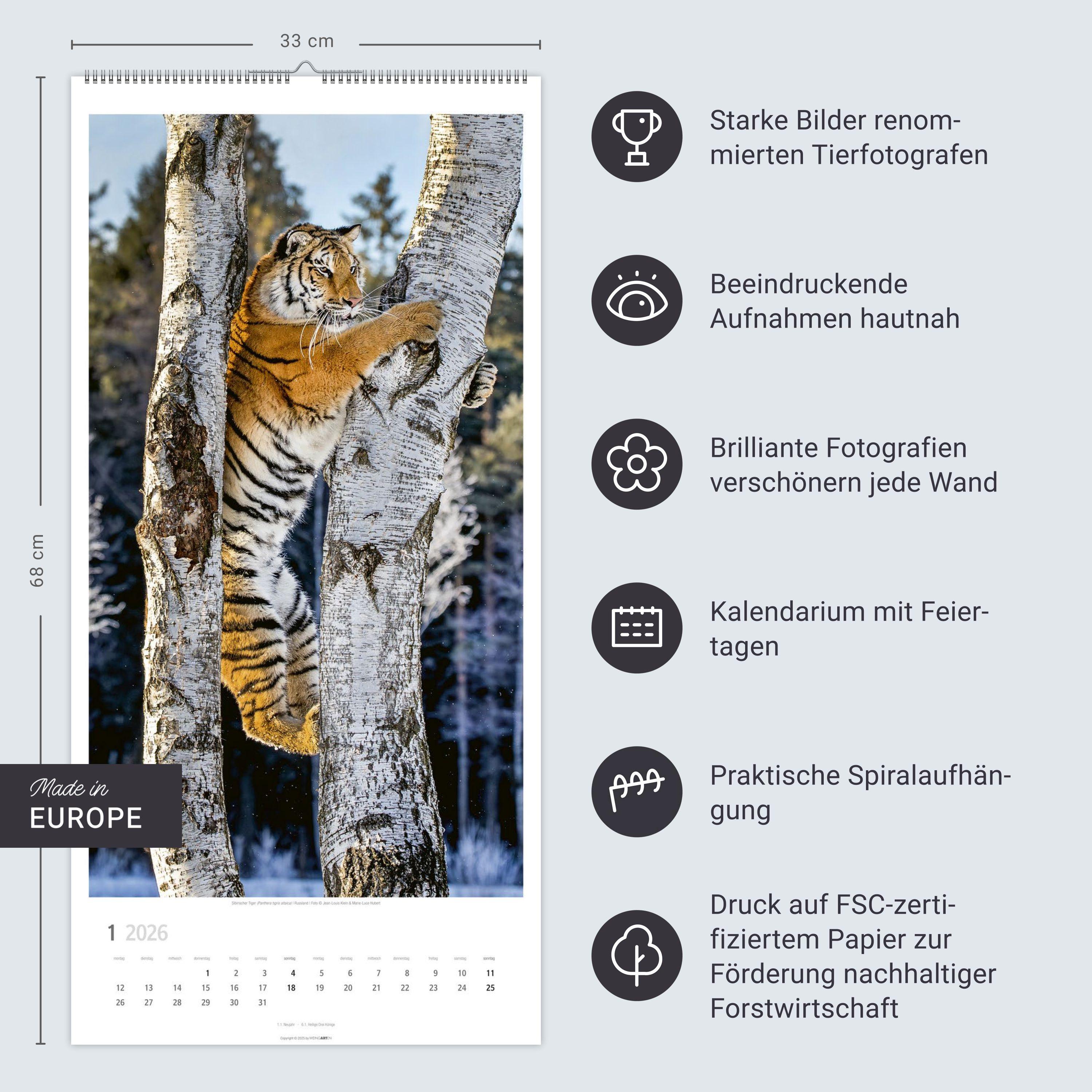 Beispielinhalt (Bild) Big Cats Kalender 2026