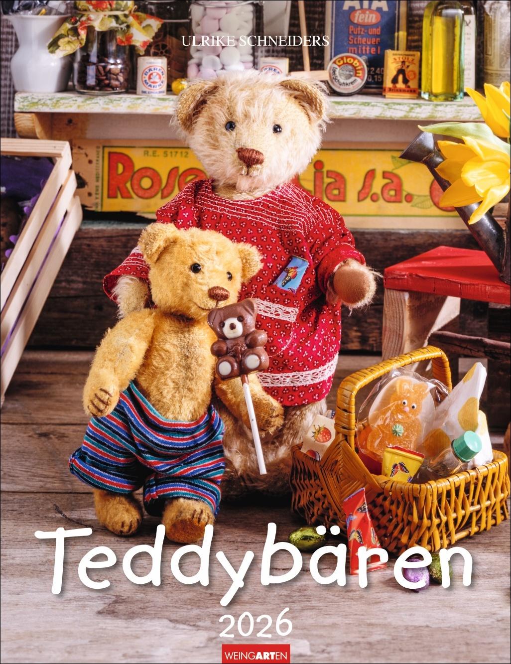 Vorderes Coverbild Teddybären Kalender 2026