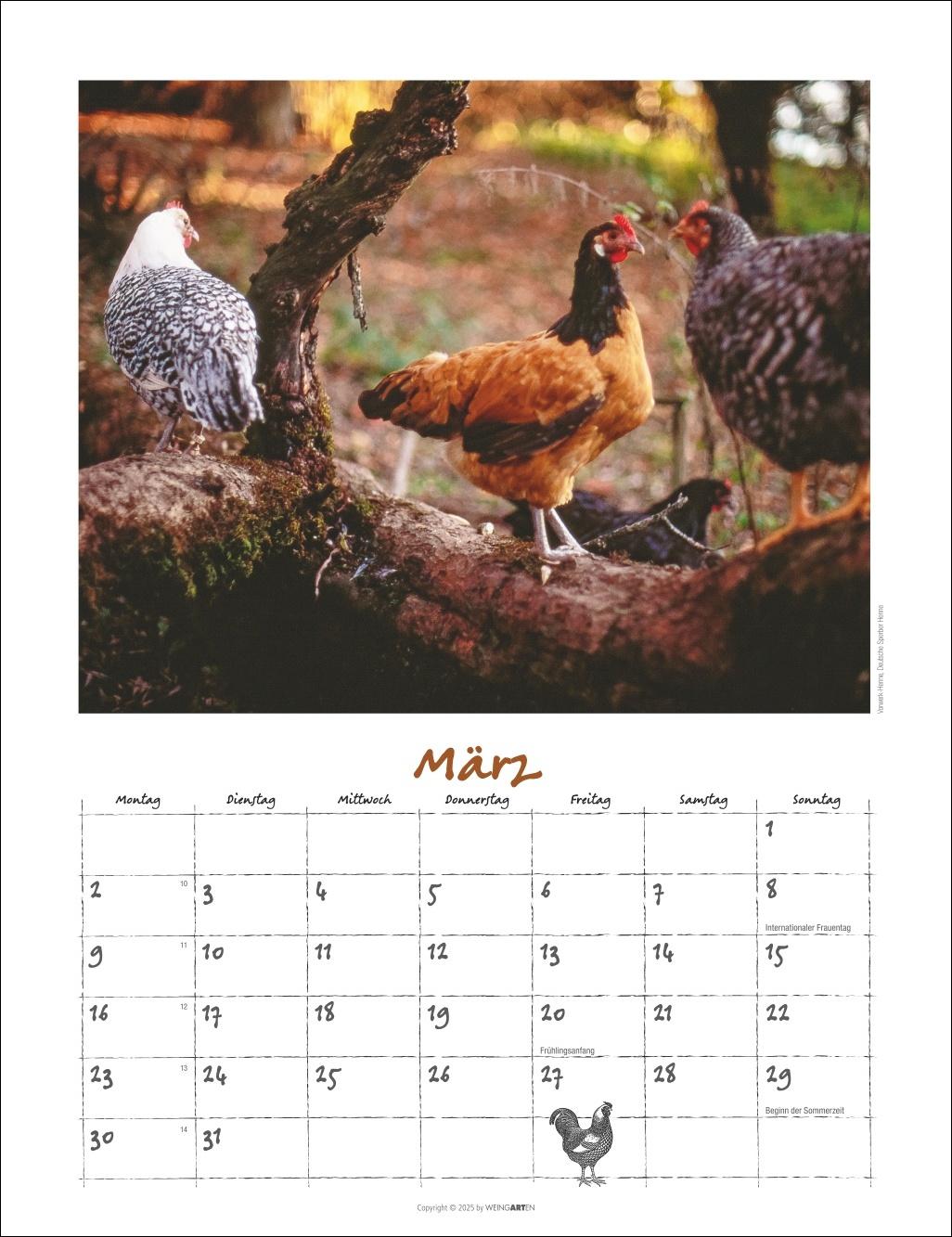 Beispielinhalt (Bild) Der Hühnerkalender 2026