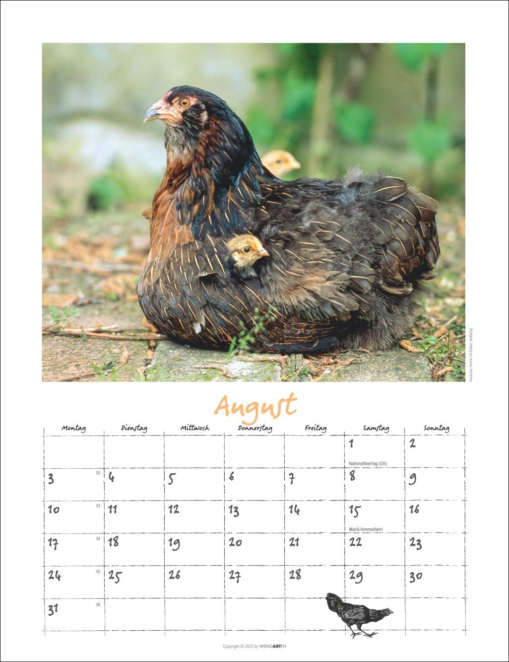Beispielinhalt (Bild) Der Hühnerkalender 2026