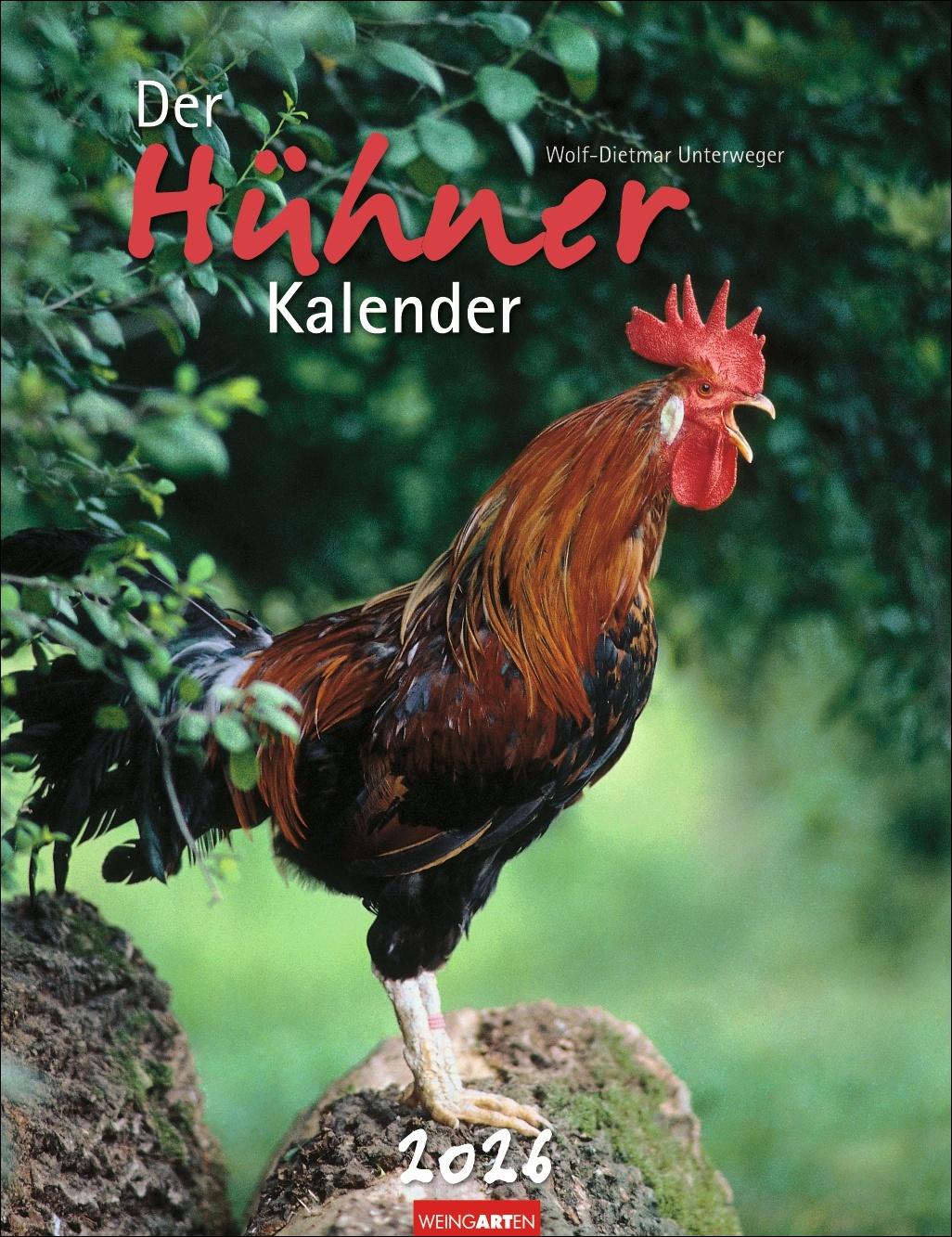 Vorderes Coverbild Der Hühnerkalender 2026