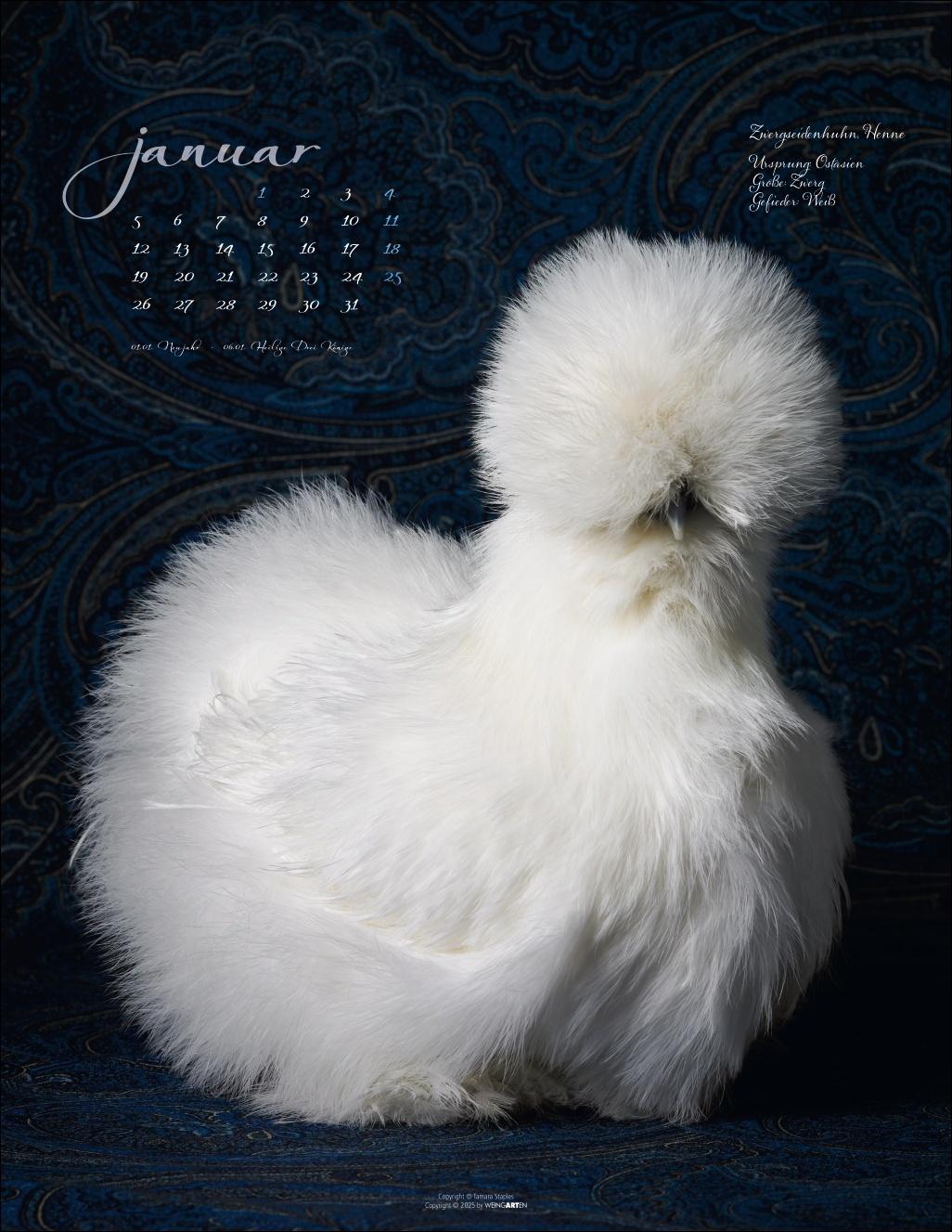 Beispielinhalt (Bild) Pretty Chicks Kalender 2026