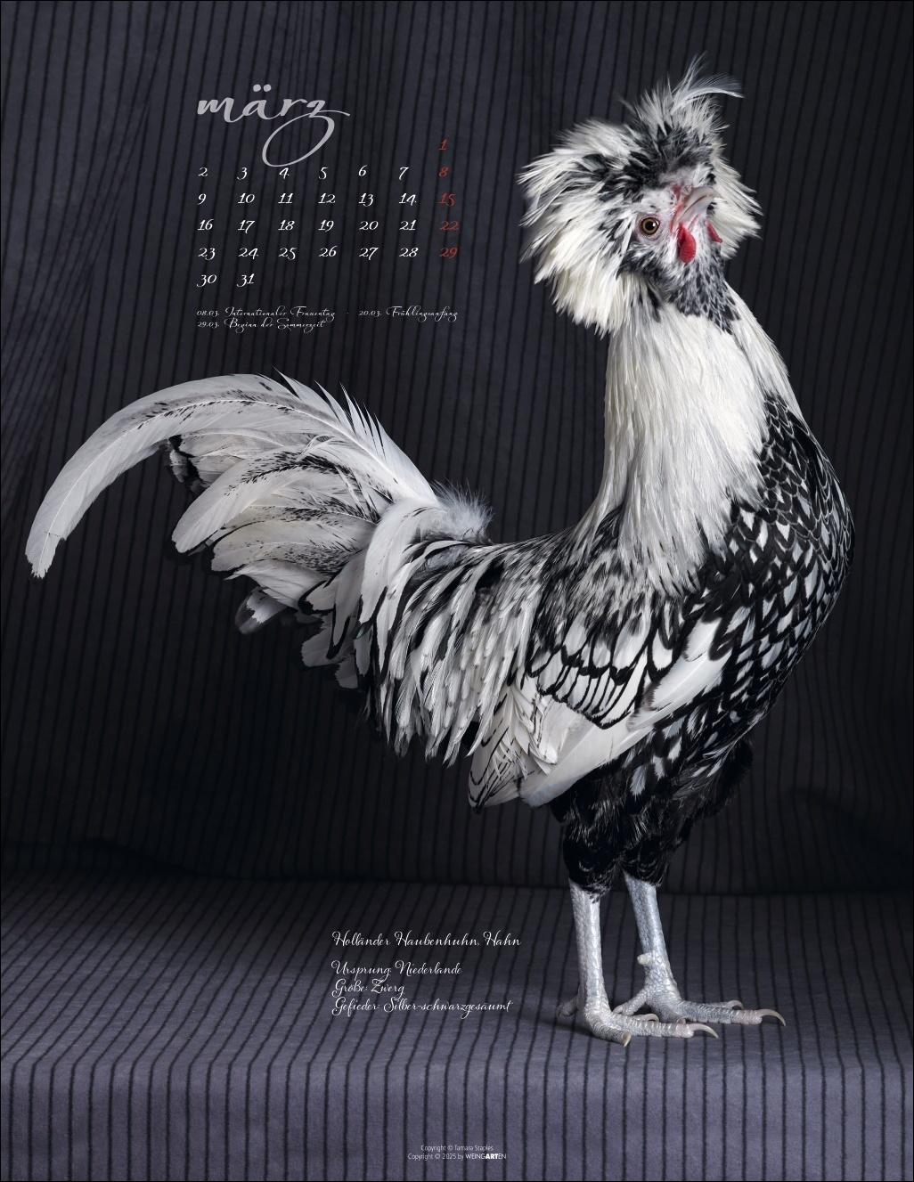 Beispielinhalt (Bild) Pretty Chicks Kalender 2026