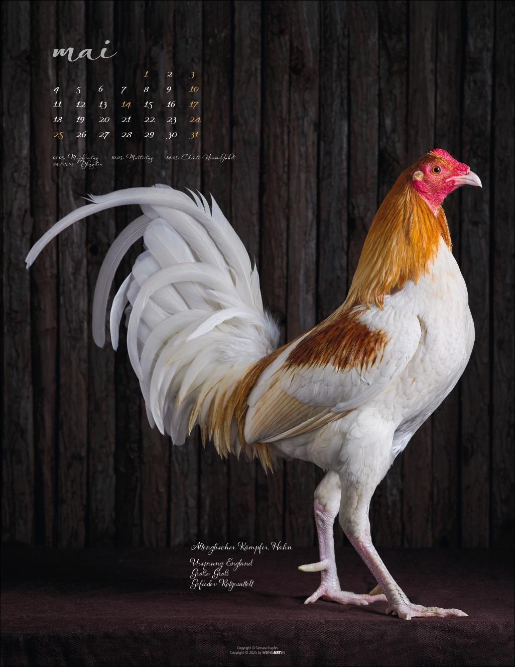 Beispielinhalt (Bild) Pretty Chicks Kalender 2026