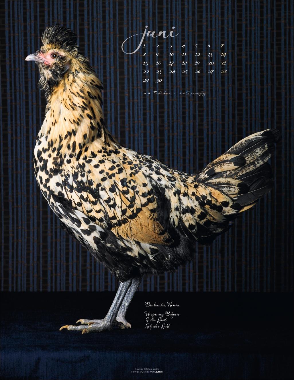 Beispielinhalt (Bild) Pretty Chicks Kalender 2026