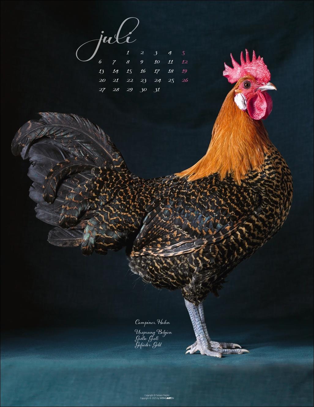 Beispielinhalt (Bild) Pretty Chicks Kalender 2026
